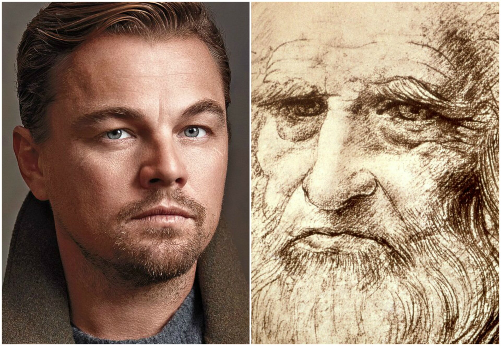 Leonardo Dicaprio Será Leonardo Da Vinci En Una Película Biográfica Del Famoso Pintor 