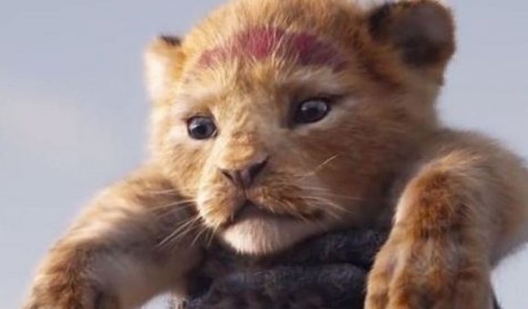 El «live action» del Rey león tendrá secuela