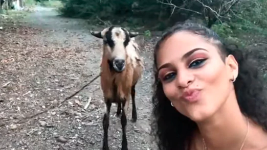 VIDEO VIRAL: ¡Al ataque! Una mujer intentaba hacerse una selfie con una cabra y esto fue lo que sucedió ??