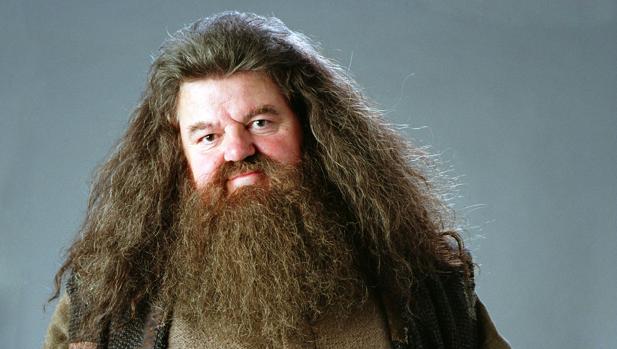 Hagrid sale en defensa de J.K Rowling