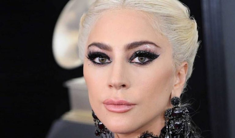 Lady Gaga se ve obligada a detener su espectáculo en medio de su último concierto