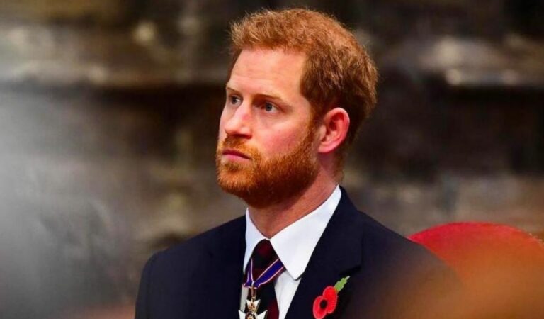 No serán «su alteza real»: El príncipe Harry y Meghan Markle prefirieron evitar los títulos reales para sus hijos ?❌