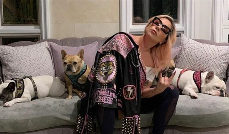 ¡Qué felicidad! Lady Gaga recuperó a sus dos perritos que estaban secuestrados ??