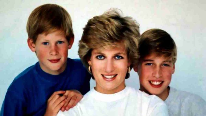 Ante la discordancia entre los príncipes William y Harry, la princesa Diana estaría «desconsolada» ??