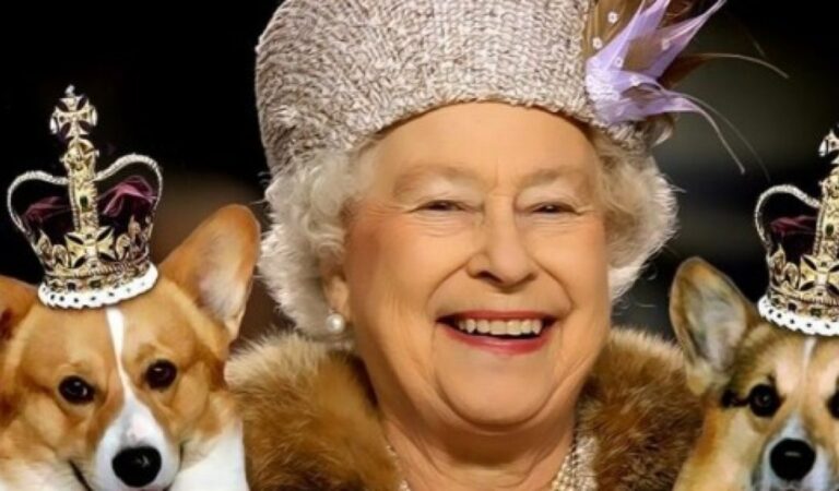 La reina Isabel II incursiona en la moda con una línea de productos para perros ??