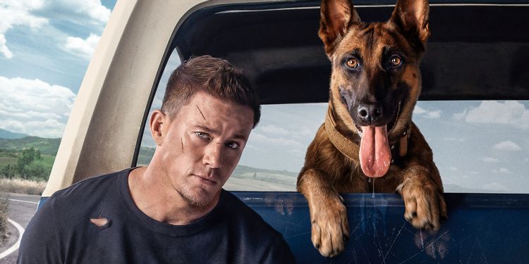 Channing Tatum hace un viaje por carretera con el mejor amigo del hombre en el tráiler de DOG