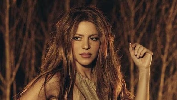 ¡¿Cuánto?! Los millones que habría cobrado Shakira por protagonizar un comercial de papitas