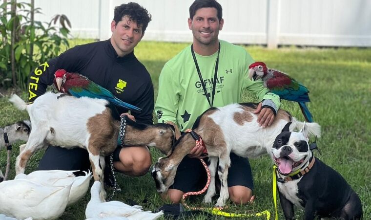 Gifmaf: Los hermanos Siervo triunfan en Estados Unidos adiestrando mascotas