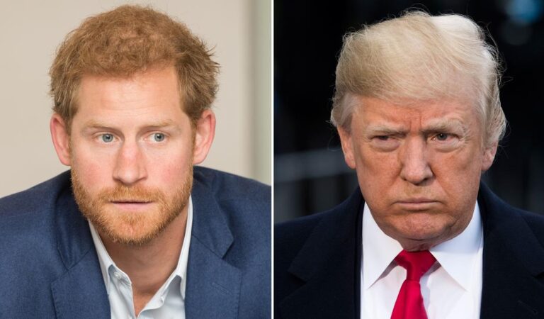 «Traicionó a la reina»: Trump amenaza con deportar al príncipe Harry