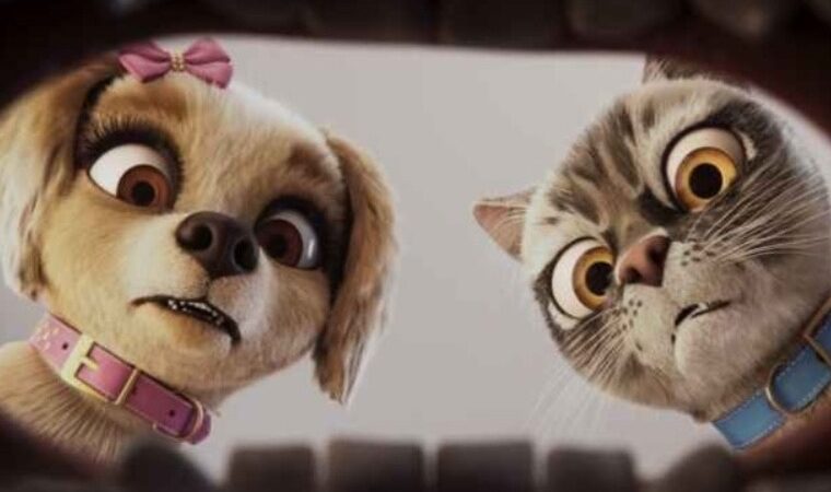 “Mascotas en Apuros”, la divertida película para disfrutar en familia