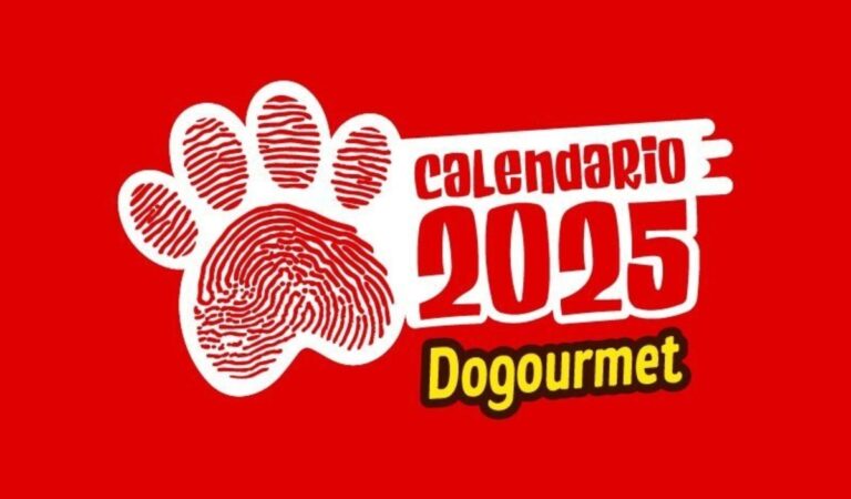 Para el venidero 2025, el Calendario Dogourmet busca patitas a la medida