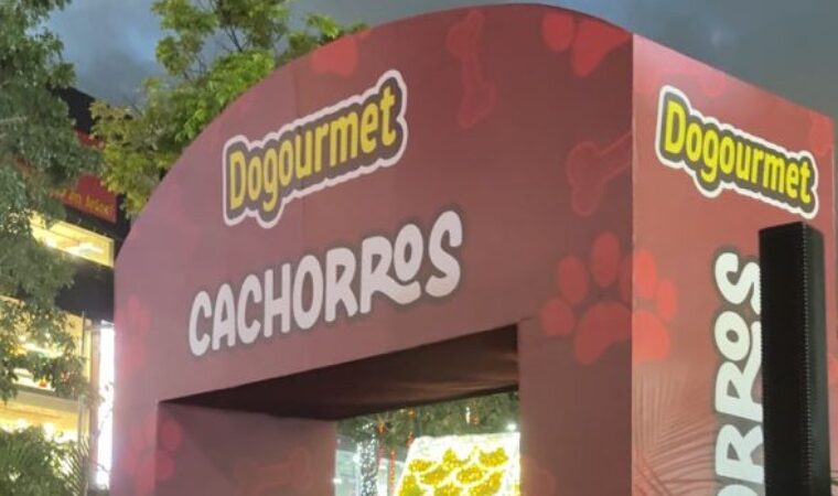 ¡La fiesta más peluda del año! Dogourmet celebró el casting presencial para su calendario 2026